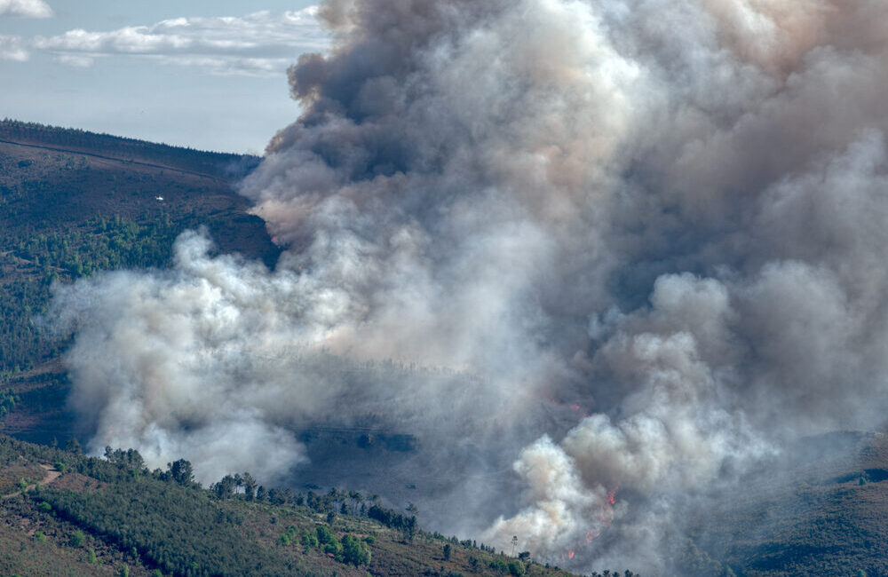 Incendio boschivo in Gironda