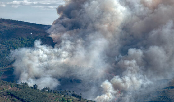 Incendio boschivo in Gironda