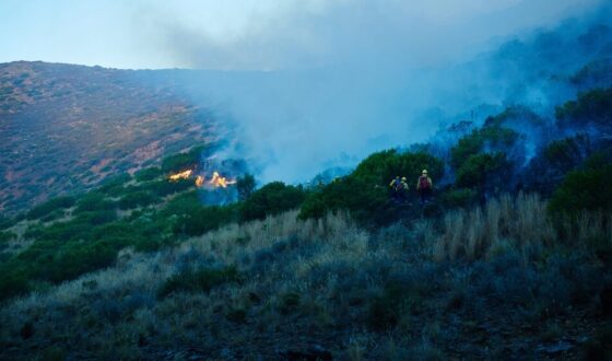 Incendi a Palermo