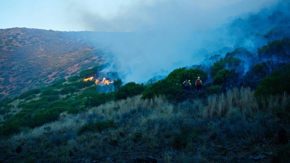 Incendi a Palermo