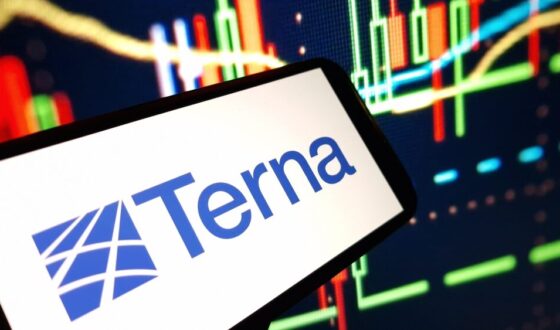 Terna risultati finanziari