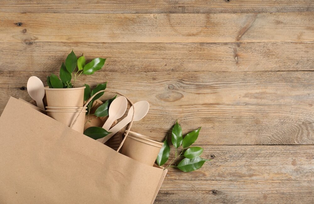 Immagine rappresentativa del packaging sostenibile