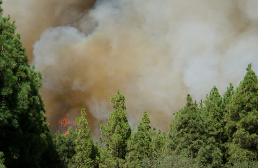 Incendi nella Gironda