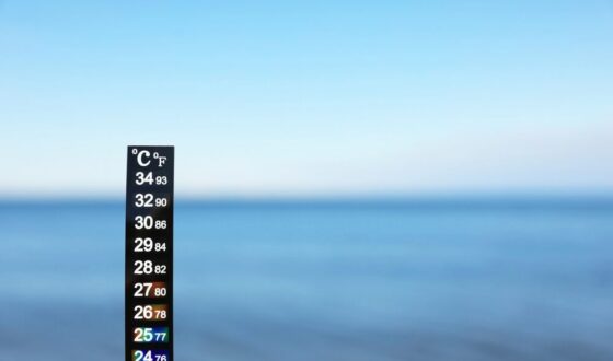 Temperatura record del mare