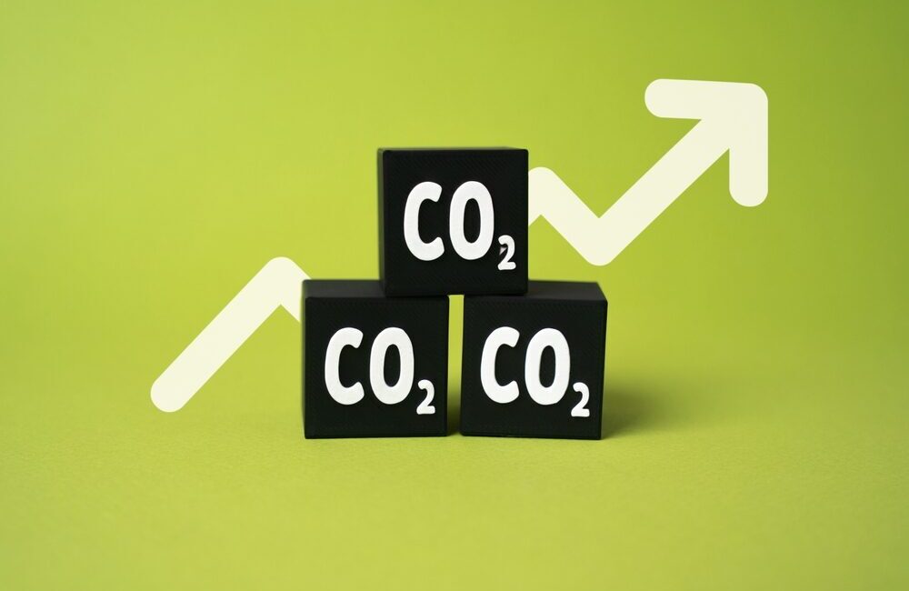 Grafico del prezzo delle quote di CO2