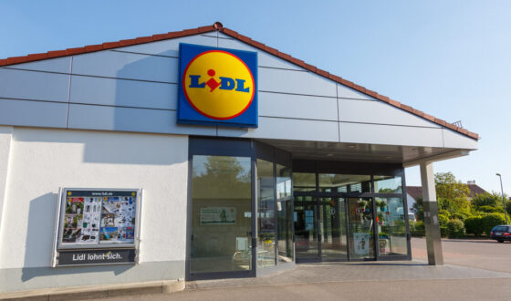 Cuscino e panno riscaldante Lidl