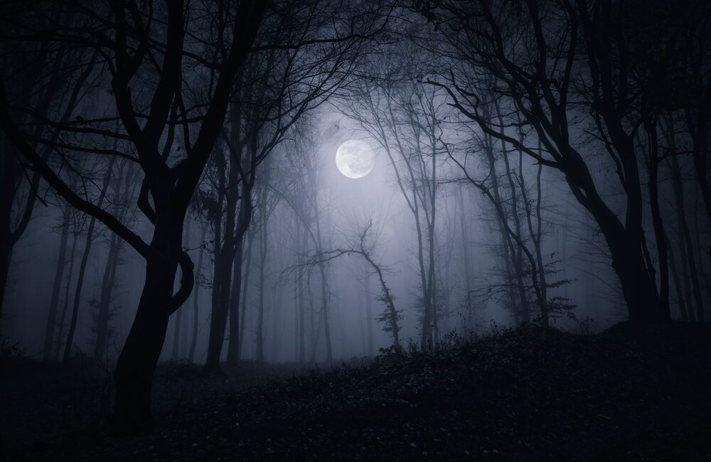 Silent Hill: Townfall - Immersione e Stealth