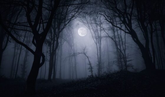 Silent Hill: Townfall - Immersione e Stealth