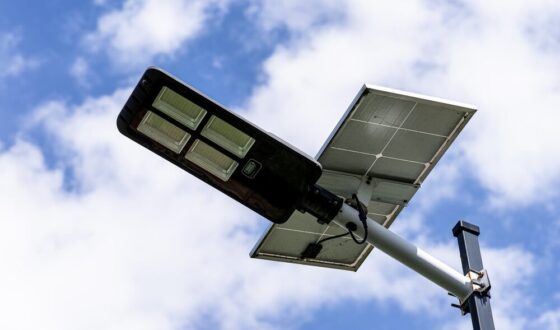 Ortaggi a foglia sotto intensità luminosa