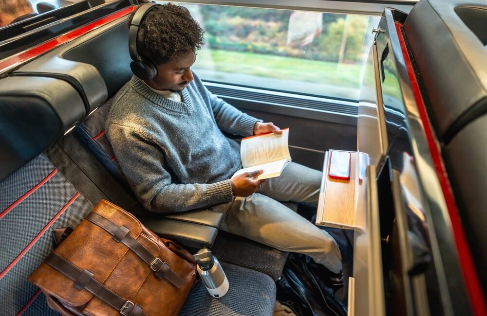Trasporto pubblico locale in Italia